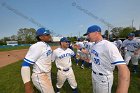 Baseball vs Babson  Wheaton College Baseball players celebrate their victory over Babson to win the NEWMAC Championship for the third year in a row. - (Photo by Keith Nordstrom) : Wheaton, baseball, NEWMAC